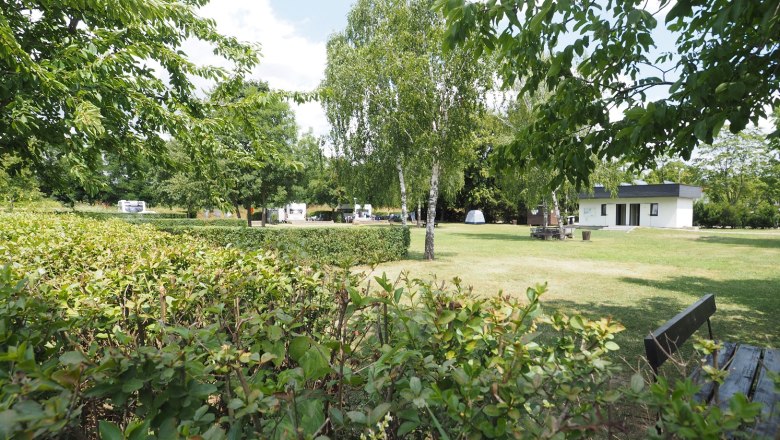 TDR campsite Zwentendorf, © Marika Ofner Pitch on a freshly mown meadow. Separated by a hedge.