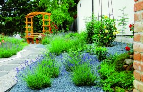 Lavender show garden, © Stadtgemeinde Maissau A well-tended garden with lavender, a wooden pavilion and paved paths.