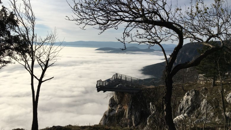 View into the sea of fog, © Naturpark Hohe Wand Viewing platform above a sea of fog in the mountains, surrounded by bare trees.