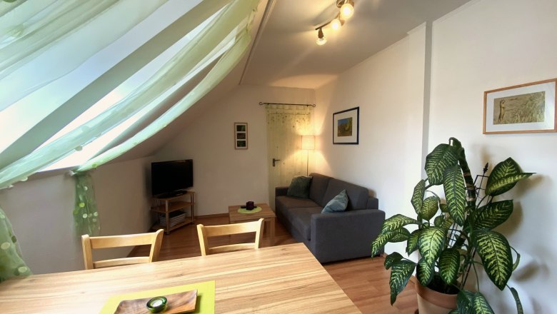 Vacation apartment Traube, © Trachsler Cozy living room with sofa, dining table, TV and large houseplant.