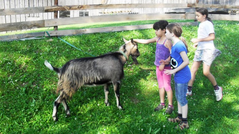 Children with goat, © Ferienbauernhof Schierhuber Children with goat, © Ferienbauernhof Schierhuber