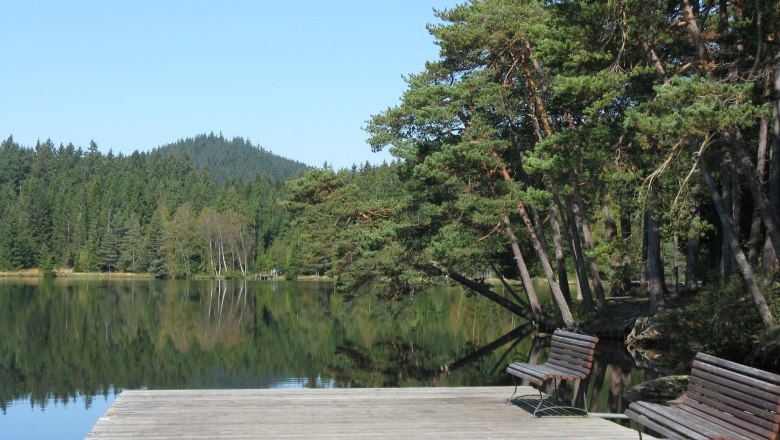 Edlesberg pond, © Gemeinde Gutenbrunn A peaceful lake with a wooden jetty and benches, surrounded by forest and blue skies.