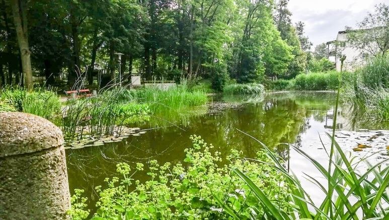 Pond in the St. Leonhard am Forst castle park, © Josef Motusz Pond in the St. Leonhard am Forst castle park, © Josef Motusz