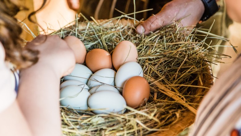 pension-kobichl_eier-im-korb, © Fred Lindmoser pension-kobichl_eier-im-korb, © Fred Lindmoser