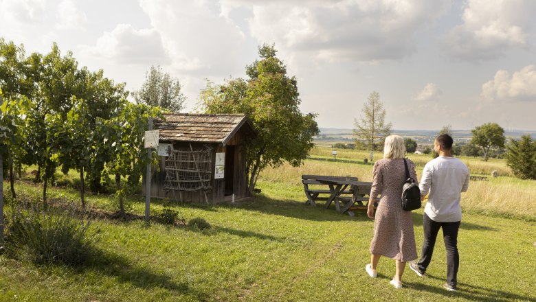 The vineyard by the self-service cellar, © Weinviertel Tourismus GmbH / Schwarz-König Two people walk through a vineyard in Kettlasbrunn in sunny weather.