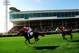 Horse racing, © Magna Racino Two horses with jockeys race on a green track in front of a grandstand with spectators.