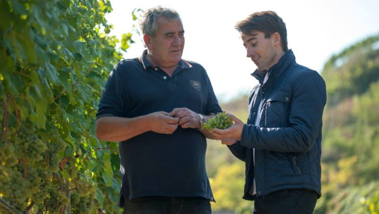 mittelbach-3, © Gottfried Mittelbach Two men are standing in a vineyard looking at a bunch of grapes.