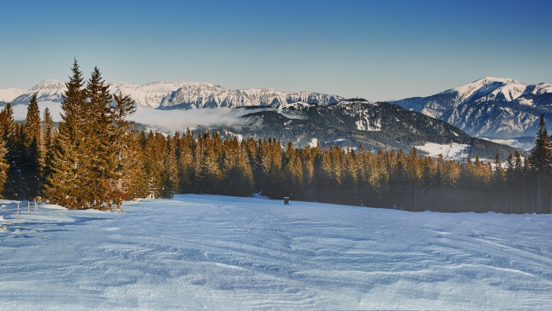 Kranichberger Schwaig, © noew-liebert Winter landscape with snow-covered mountains and pine forest.