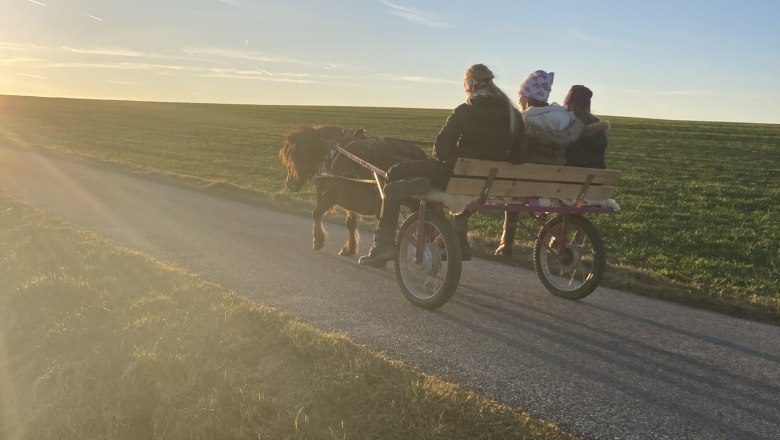 GIG, © Andreas Artner GIG, © Andreas Artner