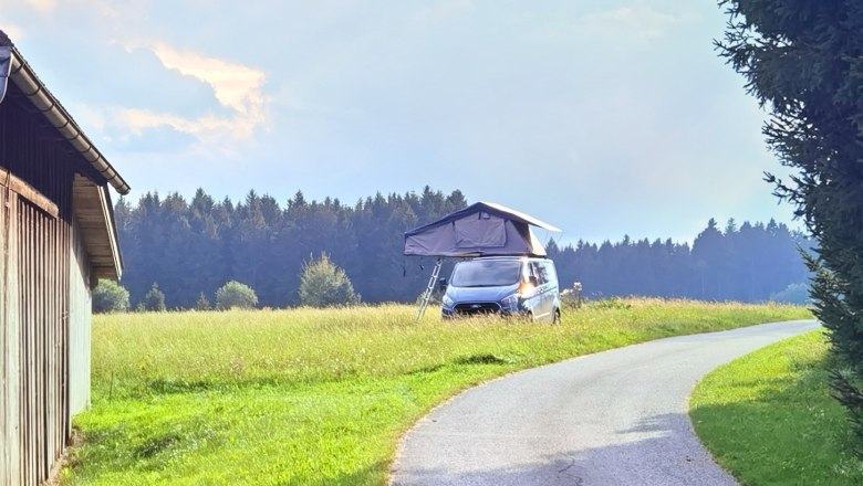 Pitch, © Thomas Starkl Pitch, © Thomas Starkl