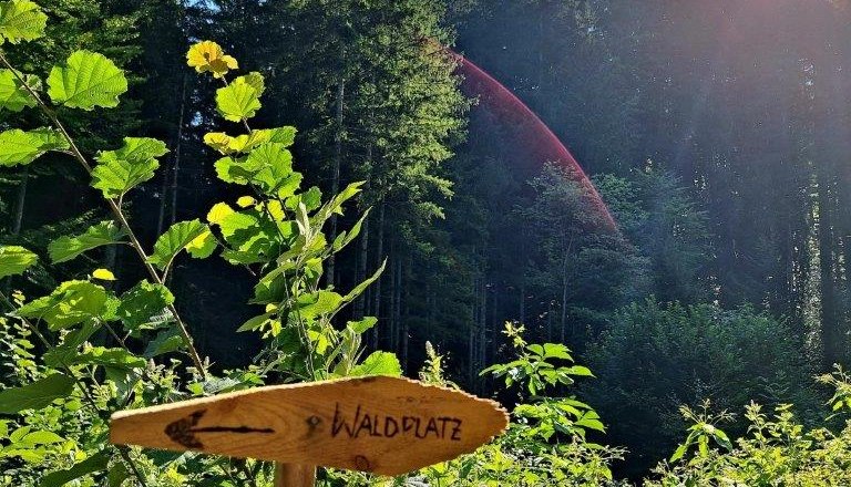 Forest bathing, © Karin Redlsteiner Forest bathing, © Karin Redlsteiner