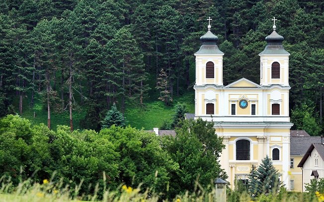 Hafnerberg, © weinfranz.at Hafnerberg, © weinfranz.at