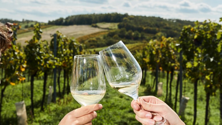 In the vineyard, © Weinviertel Tourismus / Michael Liebert Two people clink glasses in a vineyard.