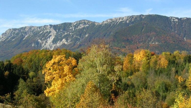 View from the Raxblick seminar room, © Daniel Fischer Autumn landscape with colorful trees and mountains in the background.
