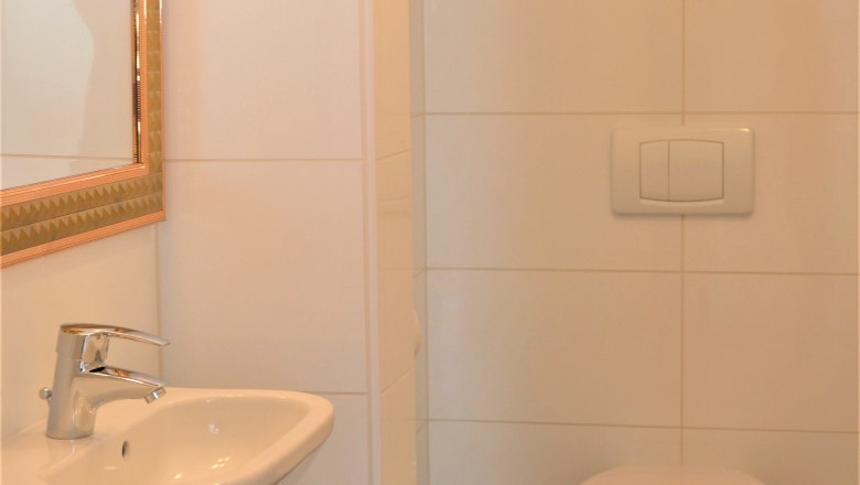 WC, © Gluschitz-Goebel Small bathroom with washbasin, mirror, toilet, waste garbage can and toilet brush.