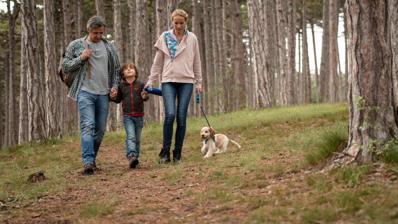 Wine.forest.water hiking arena, © Silke Ebster Wine.forest.water hiking arena, © Silke Ebster