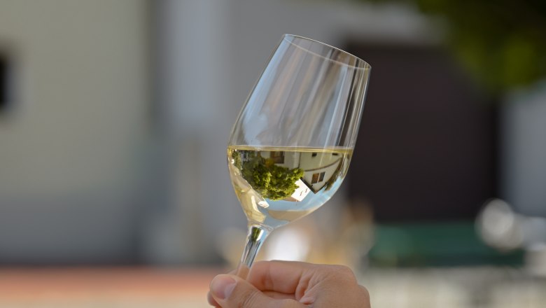 Wine glass, © Weinviertel Tourismus / Lisa Sedlatschek One hand holds a wine glass with white wine outside.