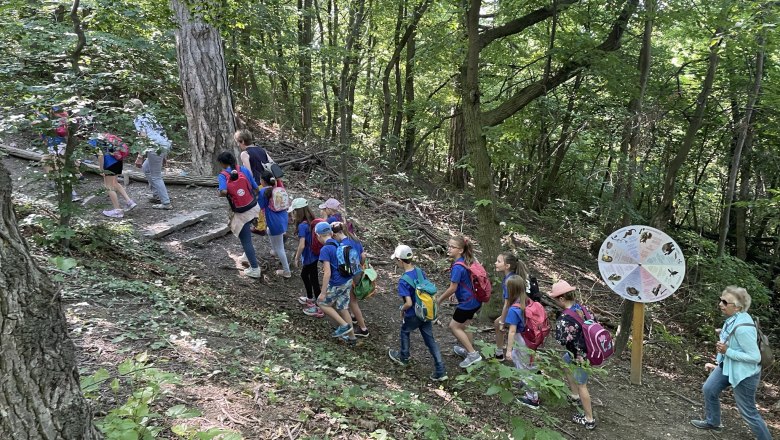 Nature park in the forest - Josefspark 3, © Marktgemeinde Sieghartskirchen Nature park in the forest - Josefspark 3, © Marktgemeinde Sieghartskirchen