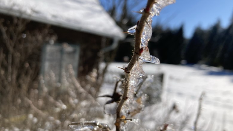 Vacation home in the middle of the forest, © Dieter Juster Vacation home in the middle of the forest, © Dieter Juster
