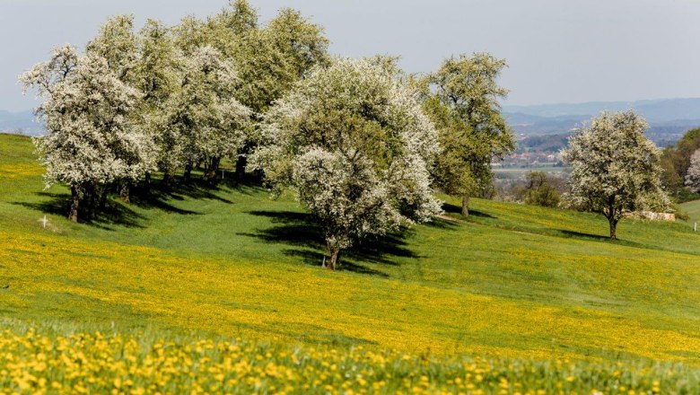 Photo point Wachtberg in the direction of St. Veit, © schwarz-koenig.at Photo point Wachtberg in the direction of St. Veit, © schwarz-koenig.at