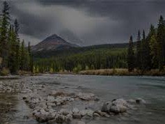 Fishing Mariensee, © Fischerei Mariensee Fishing Mariensee, © Fischerei Mariensee