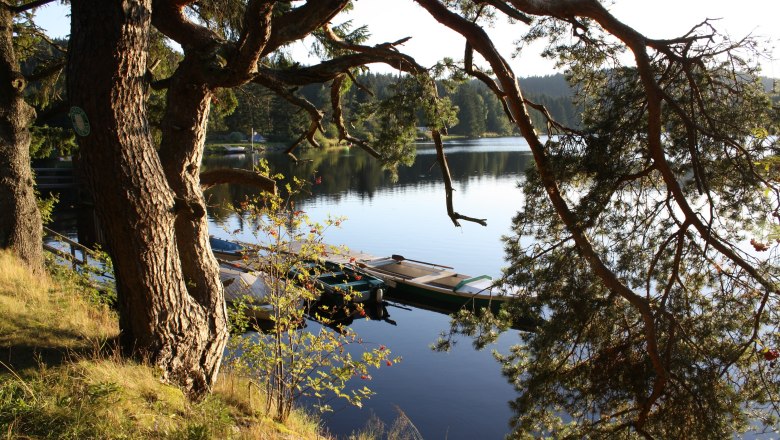 Edlesberg pond 300 m from the house, © Dieter Juster Edlesberg pond 300 m from the house, © Dieter Juster