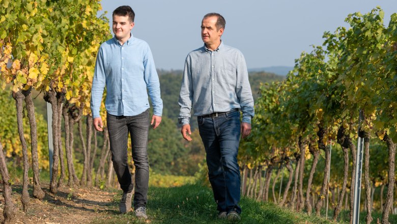 Vineyards, © Andreas Kraus Vineyards, © Andreas Kraus