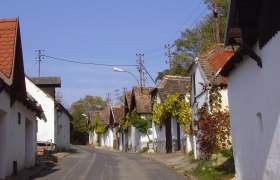 Large cellar drift, © Andrea Kitla A narrow street with traditional white houses and grapevines on the facades.