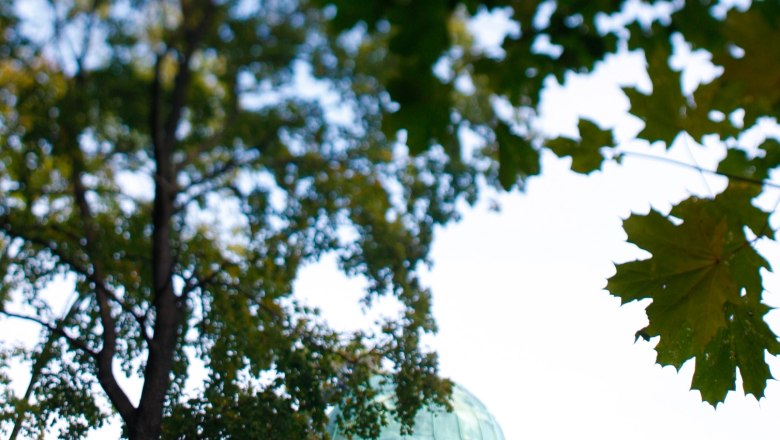 Krupp temple through leaves, © Stadtgemeinde Berndorf / Foto Husar Christian Krupp temple through leaves, © Stadtgemeinde Berndorf / Foto Husar Christian