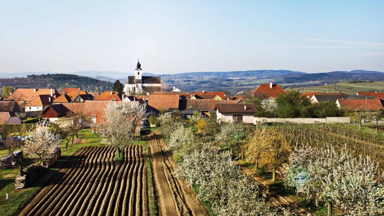 Municipality of Stratzing, © Robert Herbst Rural scene with church, blossoming trees and fields in Stratzing.