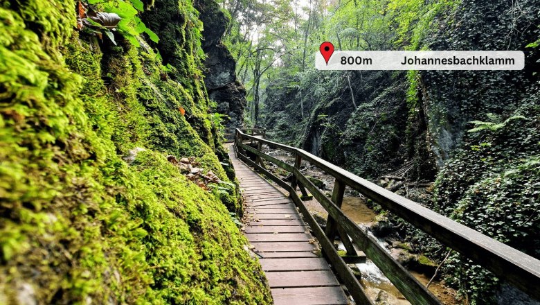 Johannesbach Gorge, © Johannesbachklamm Chalet Wooden footbridge in the green Johannesbachklamm gorge with moss and plants on the rock faces.