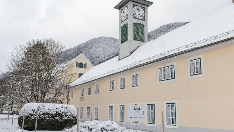 Kienberg forest, © Forst Kienberg Kienberg forest, © Forst Kienberg