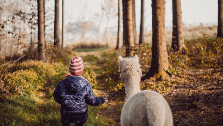 Child with alpaca, © Donaublickalpakas Child with alpaca, © Donaublickalpakas