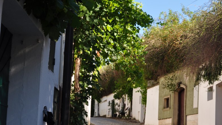 Wine cellar lane Rösselberg, © Weinviertel Tourismus Cobblestone street in a wine cellar lane with vines and white buildings.