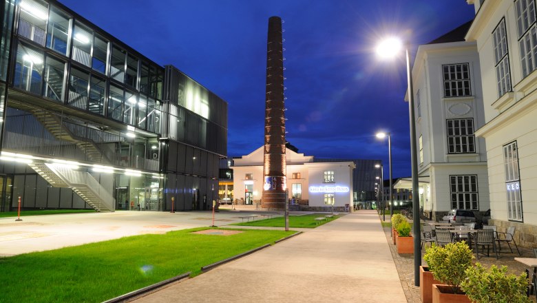 Cinema in the boiler house, © Wolfgang Simlinger Cinema in the boiler house, © Wolfgang Simlinger