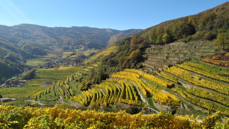 On the Spitzer Graben panoramic trail, © Donau NÖ: Heidi Schauer-Leberzipf On the Spitzer Graben panoramic trail, © Donau NÖ: Heidi Schauer-Leberzipf