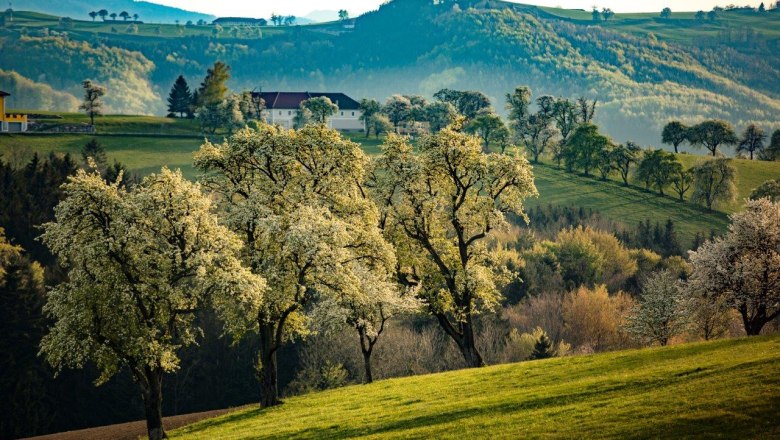 Photo point Karl Lammerhuber View southeast, © schwarz-koenig.at Photo point Karl Lammerhuber View southeast, © schwarz-koenig.at