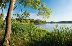 Ottenstein pond plate, © Matthias Schickhofer Landscape with lake, reeds and trees in the sunshine.