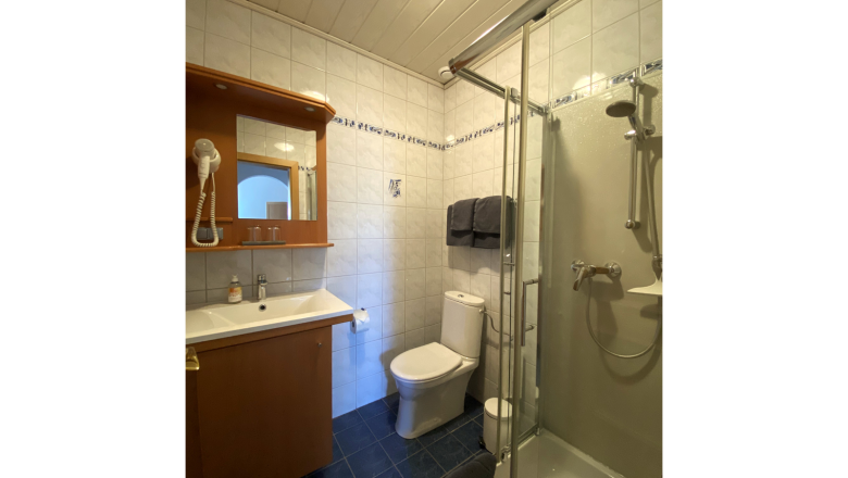 Vacation apartment Traube, © Trachsler Bathroom with shower, washbasin, mirror and toilet.
