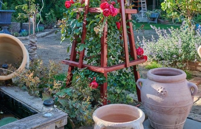 photos-wannemacher7_c_wannemacher-michaela, © Michaela Wannemacher A garden with a red climbing support on which roses grow, surrounded by pots and plants.