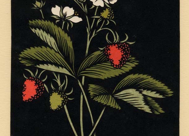 Silhouette underlaid with colored tissue paper, © mk Silhouette underlaid with colored tissue paper, © mk