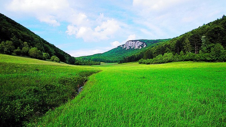 Weissenbach an der Triesting, © Weissenbach an der Triesting Green meadow with hills and wooded mountains in the background under a blue sky.