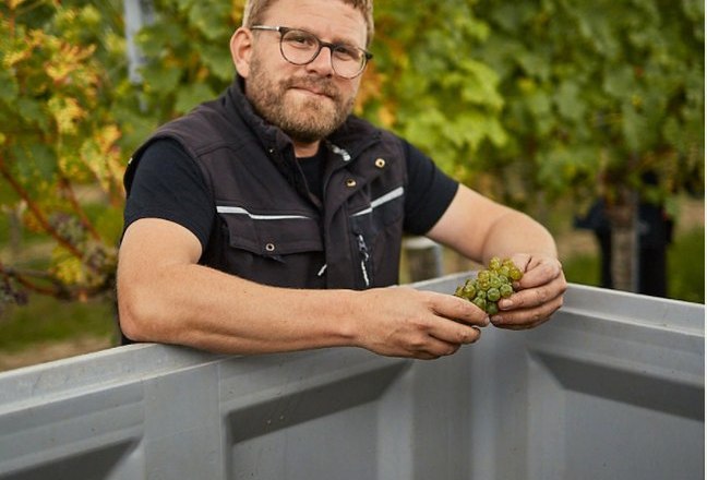 Artur Toifl, © Konstantin Mikulitsch Man with glasses holding grapes in a vineyard.
