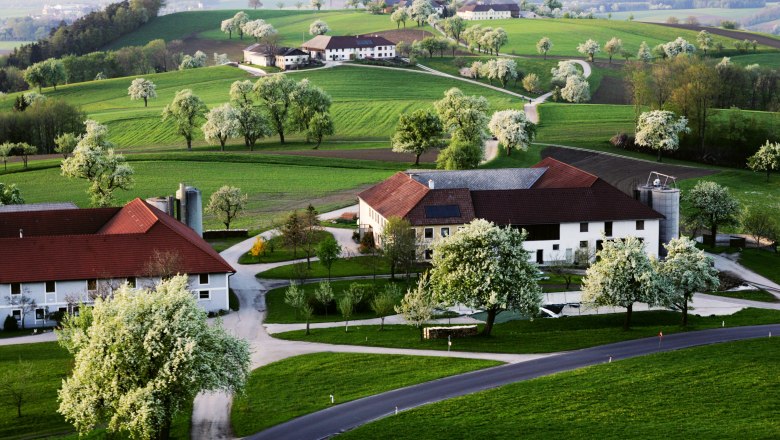 Landscape near Euratsfeld, © weinfranz.at Landscape with green hills, blossoming trees and farmhouses in Euratsfeld.