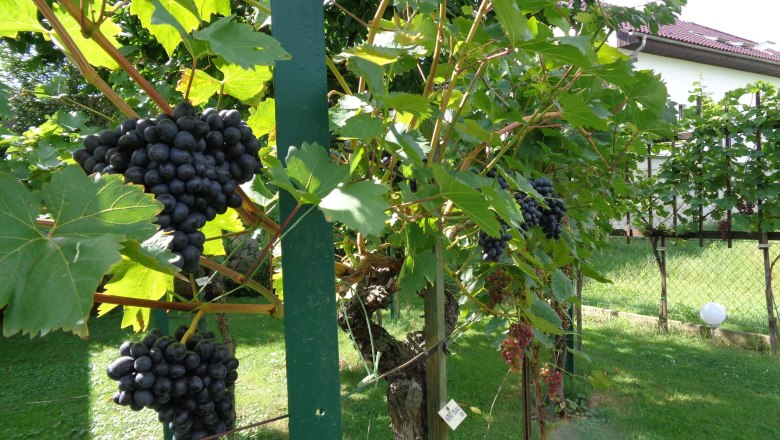 Guesthouse Schlossblick, © Marschik Guesthouse Schlossblick, © Marschik