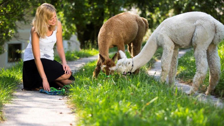 Break in the lush, green meadow, © Michael Aigner Break in the lush, green meadow, © Michael Aigner