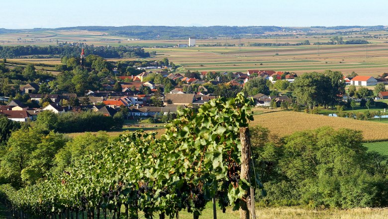 Woman village, © M. Greil Panorama of a village with fields and vineyards in the foreground.
