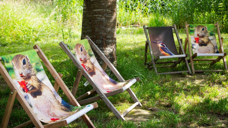 Orth Castle on the Danube, © Barbara Elser Seating with animal pattern