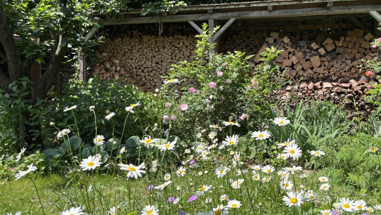 Show garden,Towanda, © "Natur im Garten" A blooming garden with daisies and a pile of wood in the background.