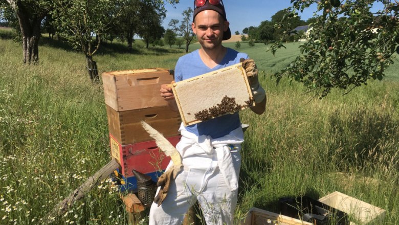 MOSTbee your beekeeper, © stoefchr.at MOSTbee your beekeeper, © stoefchr.at